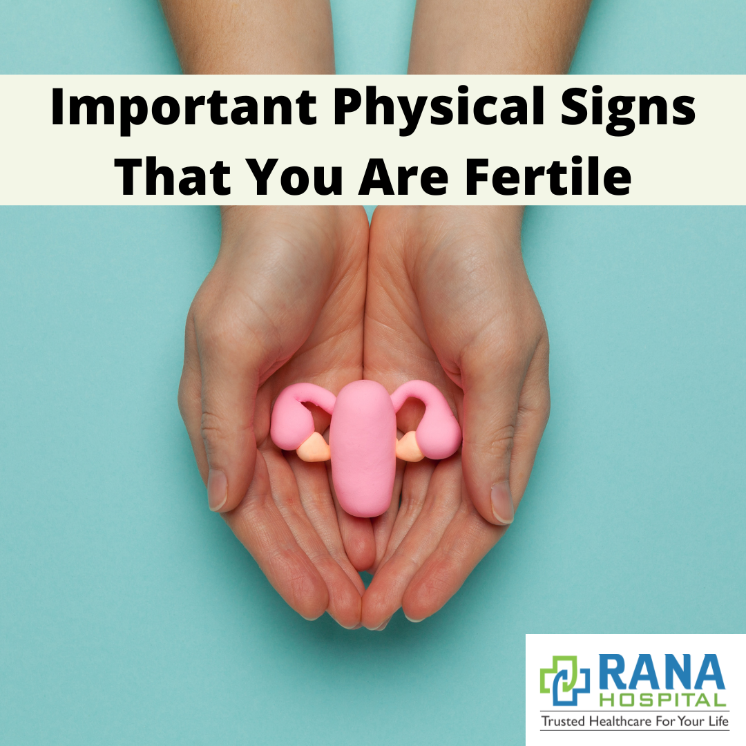 Important Physical Signs That You Are Fertile