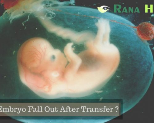 Can An Embryo Fall Out After Transfer