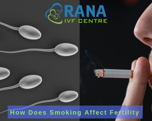 smoking vs fertility