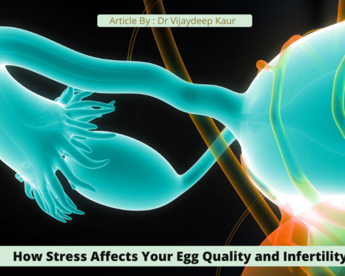 How Stress Affects Your Egg Quality and Infertility