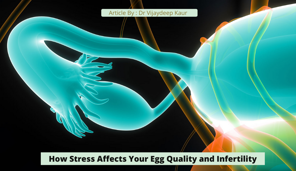 How Stress Affects Your Egg Quality and Infertility