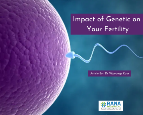 Impact of Genetic on Your Fertility