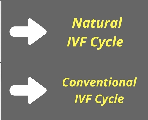 Natural-and-Conventional-IVF-Cycle