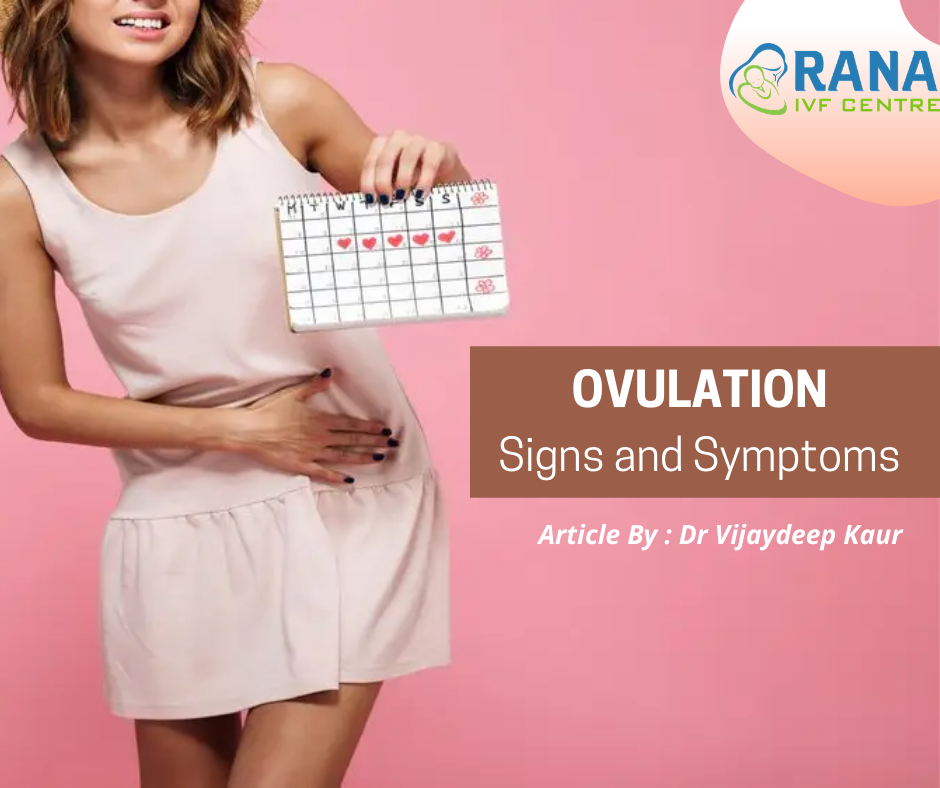 All about Ovulation- Signs and Symptoms
