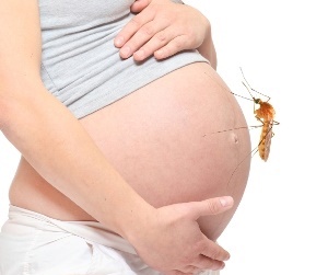 Zika Virus and pregnancy